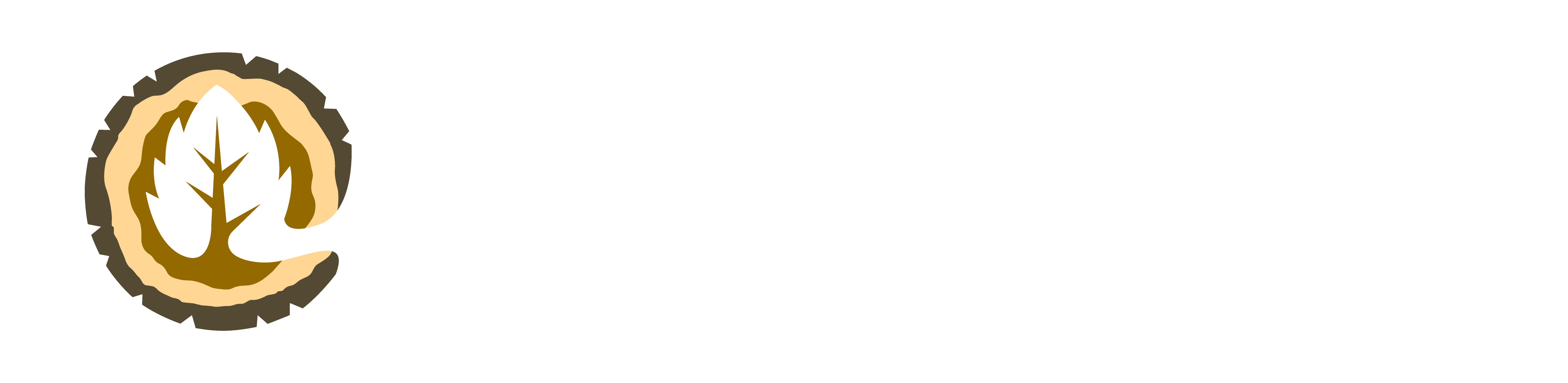 Logo Econ Resin a colori